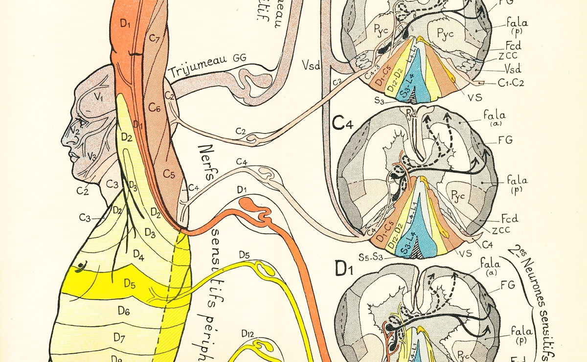  Semiologie des affections du système nerveux | Joseph Jules Dejerine (1849-1917) 