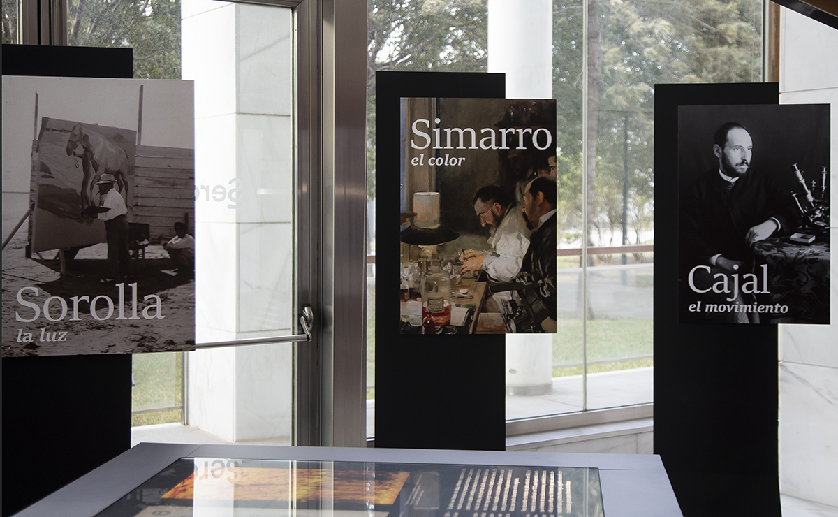 interior sorolla web