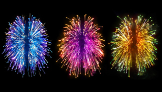 Exposición Cerebro(s)