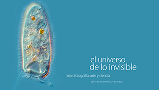 El universo de lo invisible. Microfotografía: arte y ciencia